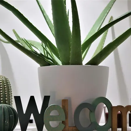 The Way San Giovanni 4*